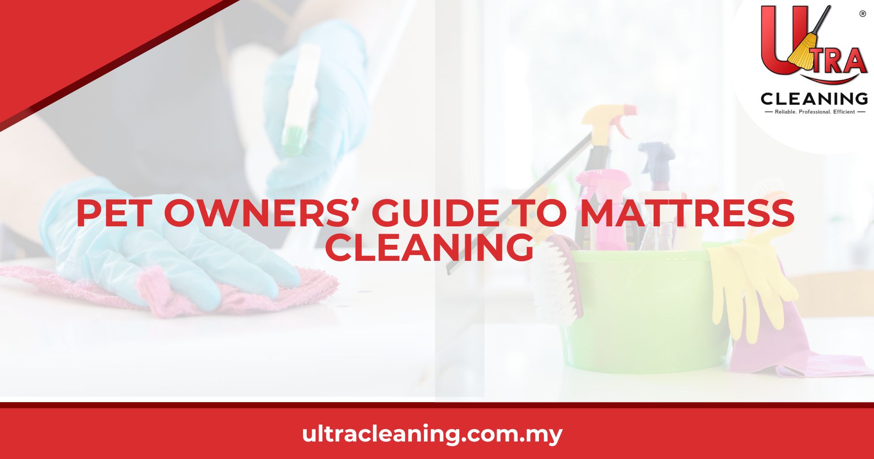 Pet Owners’ Guide to Mattress Cleaning