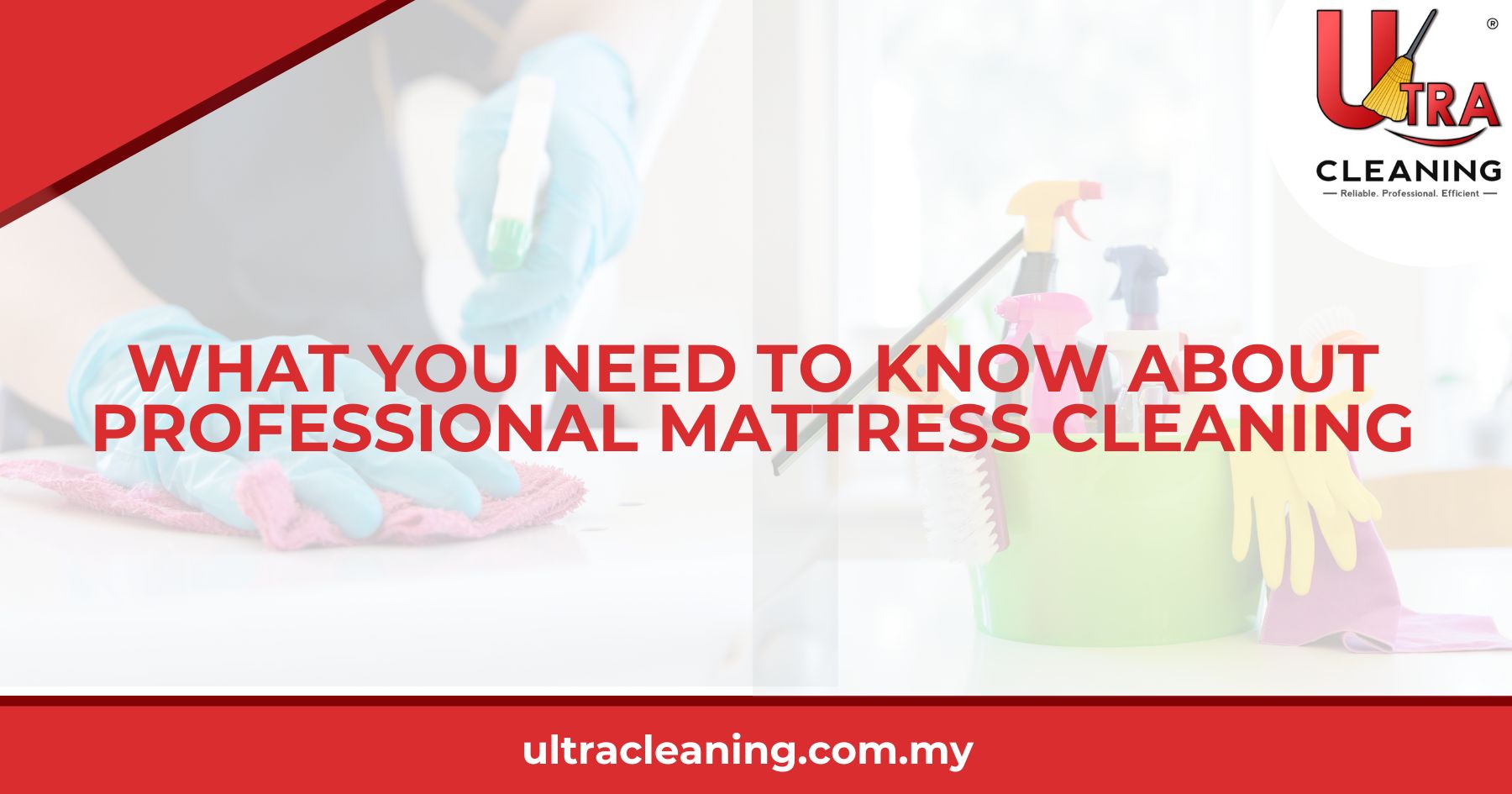 What You Need to Know About Professional Mattress Cleaning